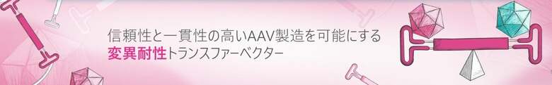 AAVベクターの“見えない品質リスク”に挑む──ITR安定化技術から生まれたMuteFree™ AAV