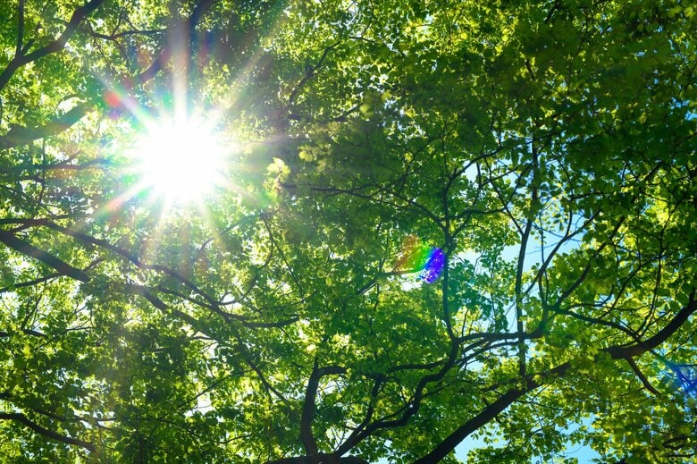 今年の夏は全国的に高温の見通し　気象庁が３カ月予報発表　降水量は平年並み｜FNNプライムオンライン