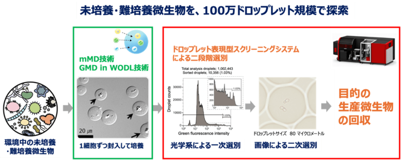 世界初、ドロップレット表現型スクリーニングシステムを開発しました