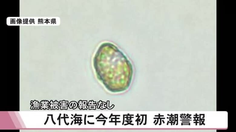 八代海で今年度初めて赤潮警報【熊本】｜FNNプライムオンライン