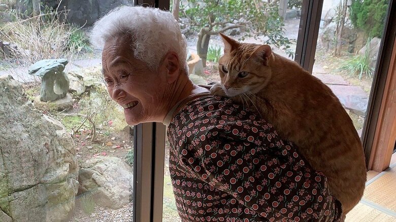 「癒しの極み」おんぶされる猫もおばあちゃんも幸せそう…“孫と祖母”のような日常が素敵すぎる｜FNNプライムオンライン
