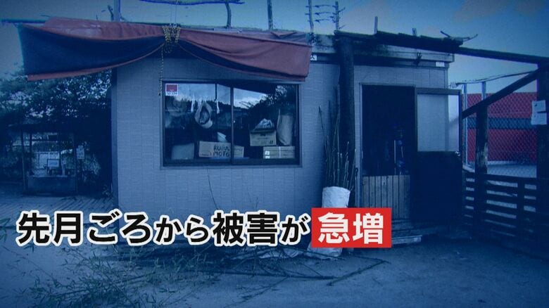 犯行現場はこの建物