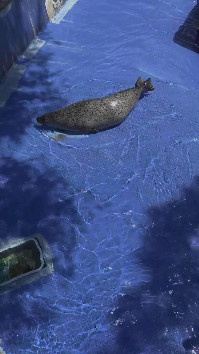 （提供：名古屋市東山動植物園）