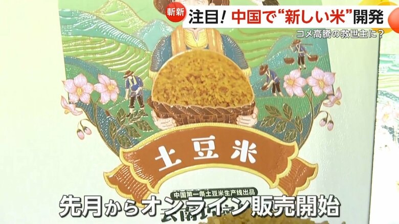 開発チームが5年かけて実現し、3月からオンラインで販売を開始したジャガイモ米