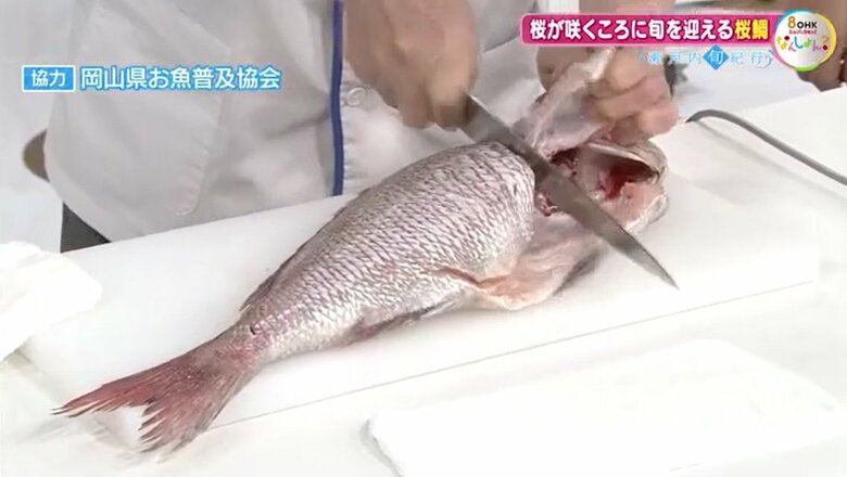 原田会長による桜鯛の調理の実演（２）