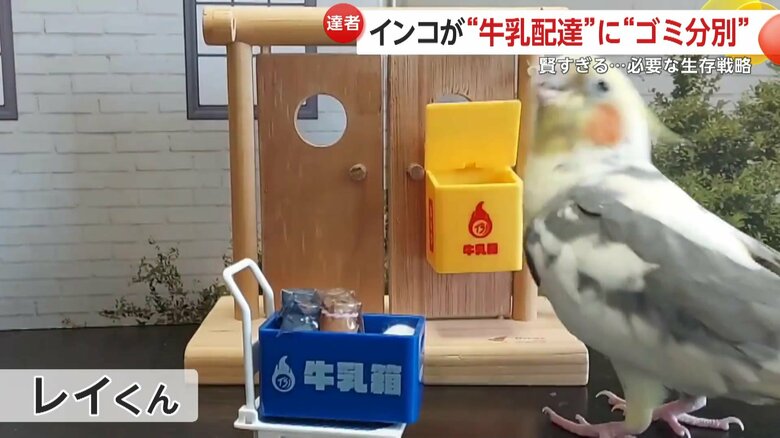 見事な配達を披露したティアくん