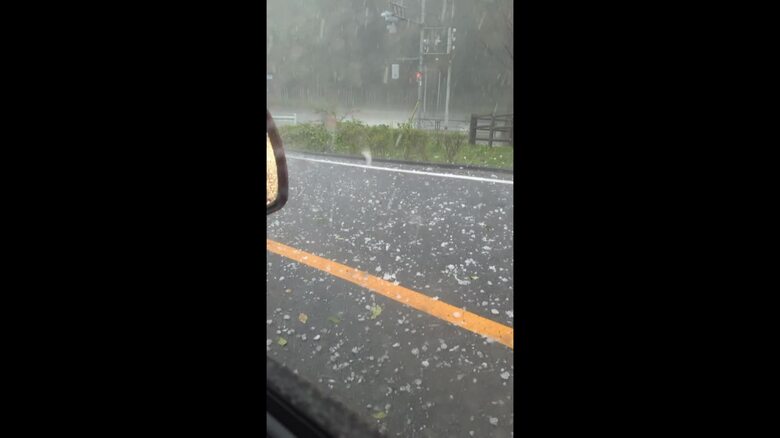 ひょうが降る様子（視聴者撮影）