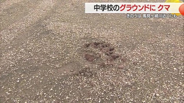 グラウンドには、爪痕までくっきり残っていた