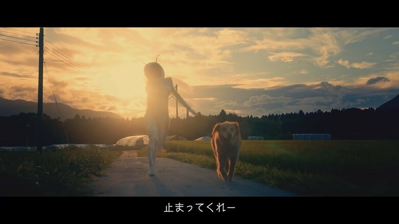 夕日を背景に、犬の散歩「止まってくれー」