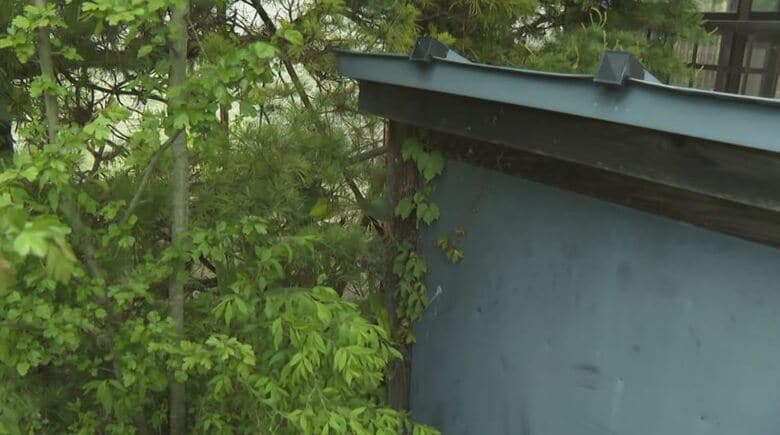 クマが住宅の庭に