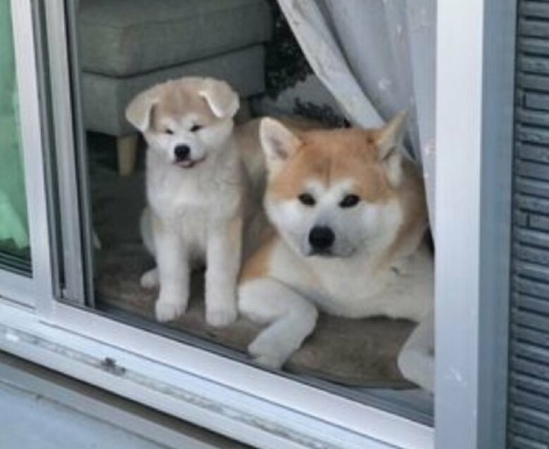 一緒に外を眺めている