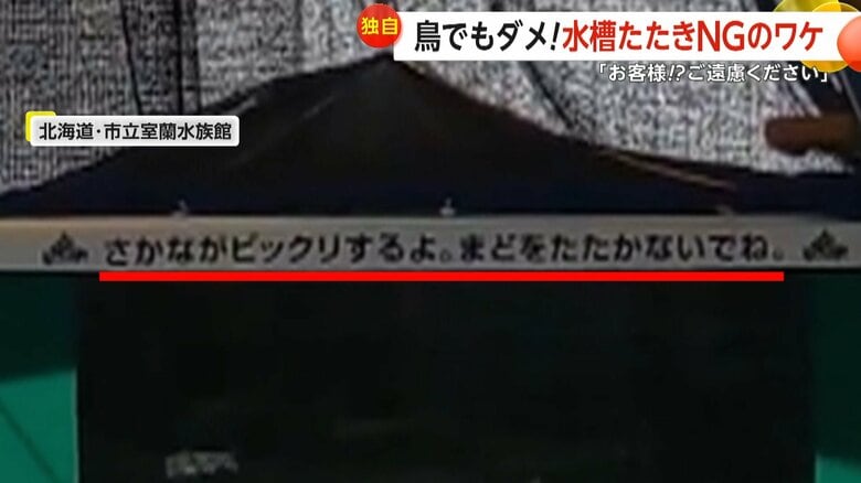 「まどをたたかないでね」との注意書き