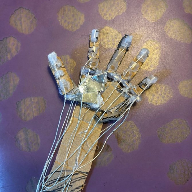 提供：櫻井京太郎さん