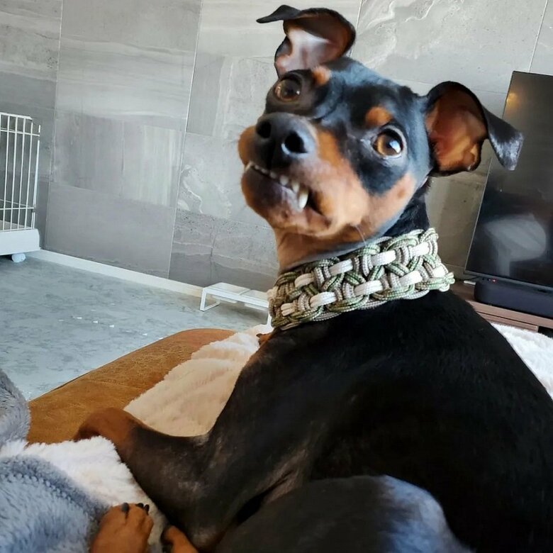 振り返ってニッ！