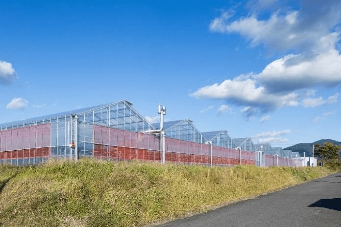 近鉄百貨店直営いちご農園 はるちかファーム（出典:近鉄百貨店）