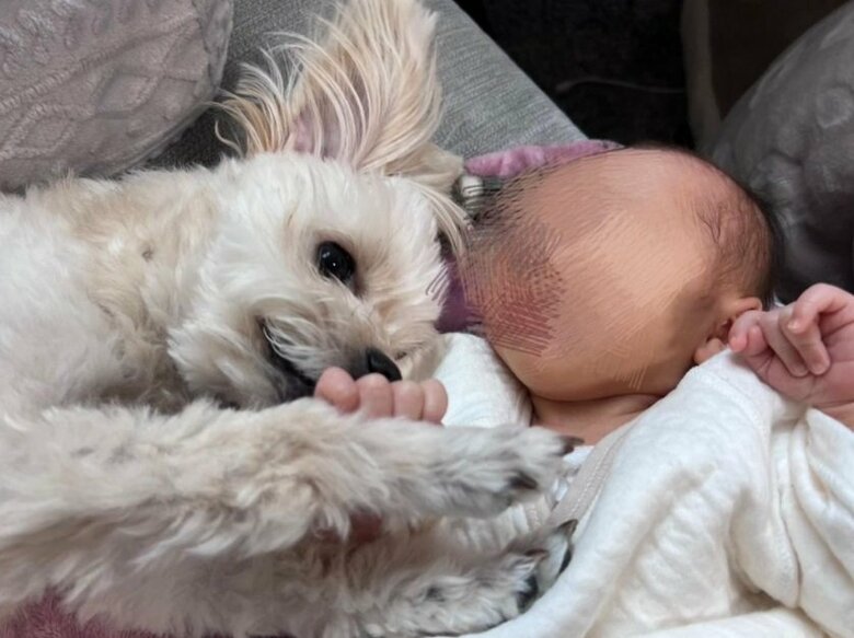 きなこくんと“妹”さん