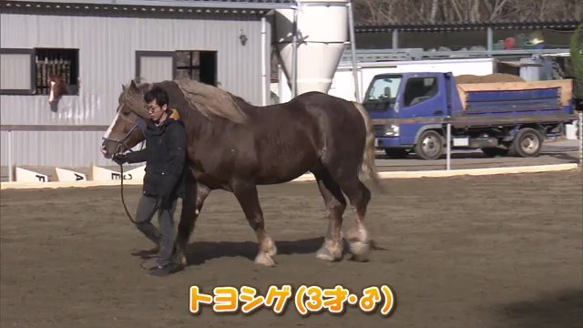 新たな相棒トヨシゲ