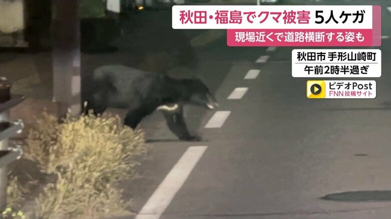 深夜の道路を住宅街に向かって横断するクマ②