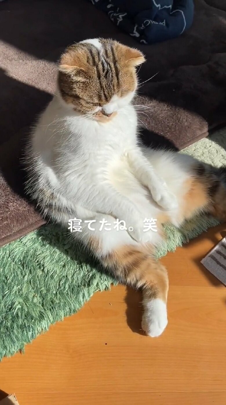 笑