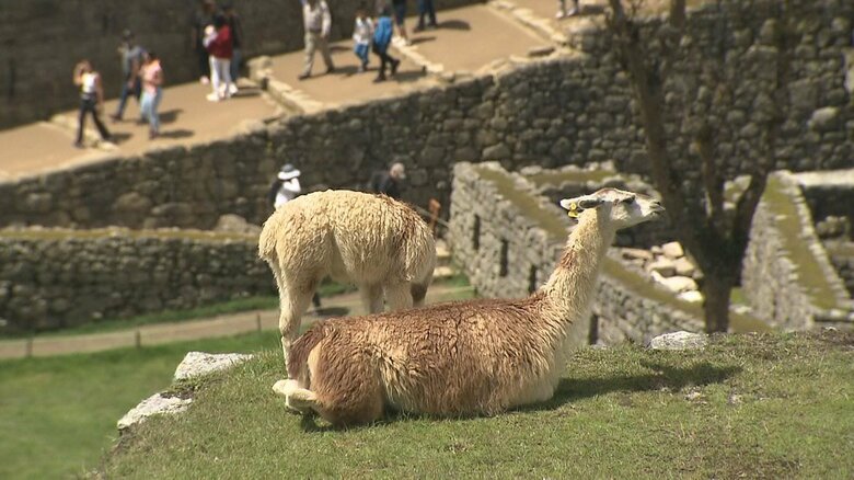 マチュピチュ遺跡