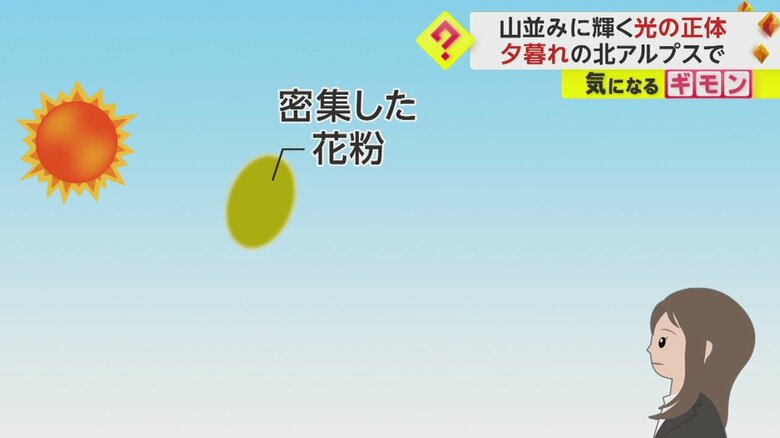 花粉光環が見える仕組み①