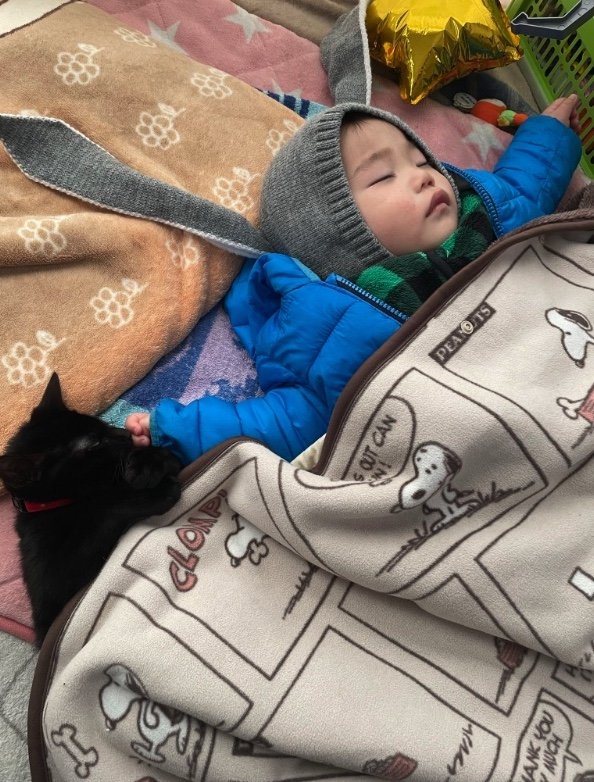 提供：ゴンゾウR4さん