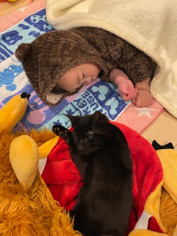 提供：ゴンゾウR4さん