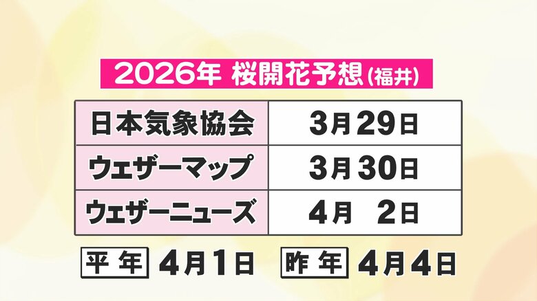 福井でのサクラの開花予想