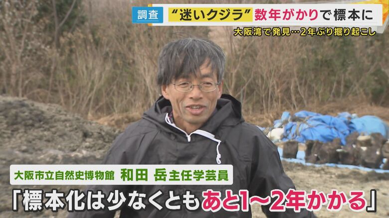 大阪市立自然史博物館　和田岳主任学芸員