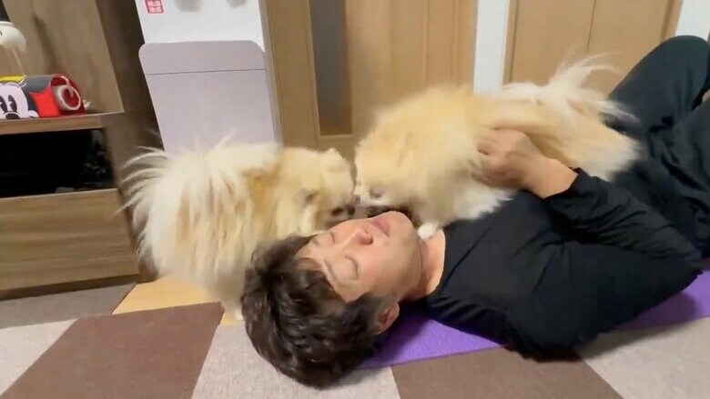 提供：愉快な3姉妹ポメラニアンちゃんねるさん