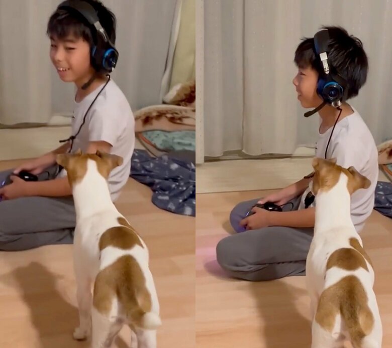 不思議そうにする様子をみて笑顔なかなとくん（提供：あずもなさん）