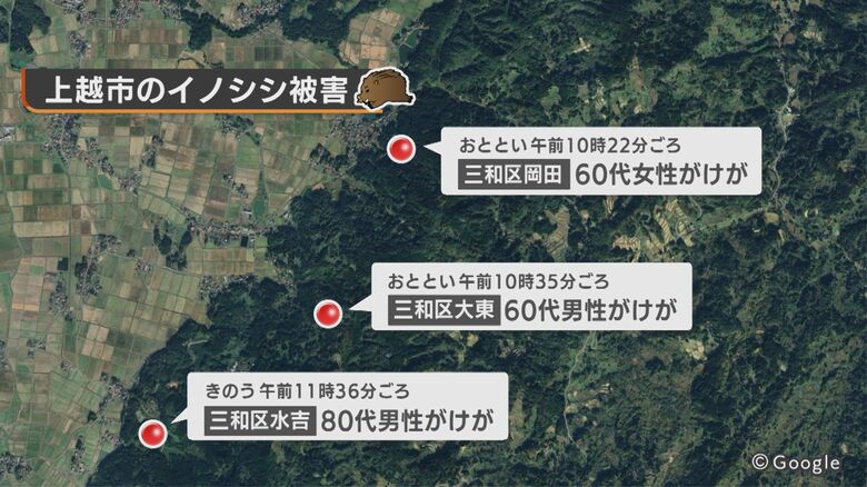 3人がイノシシに襲われる