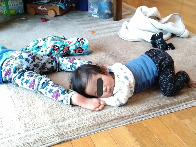 提供：振り向けばしゃお子さん