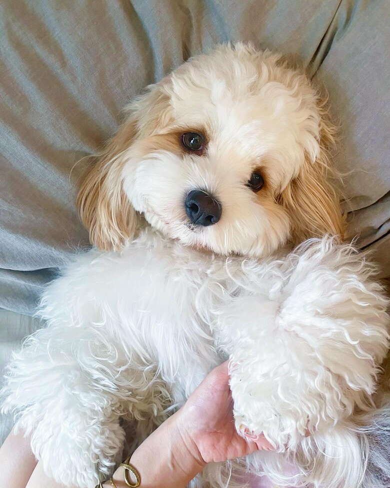 提供：宮原幸恵さん