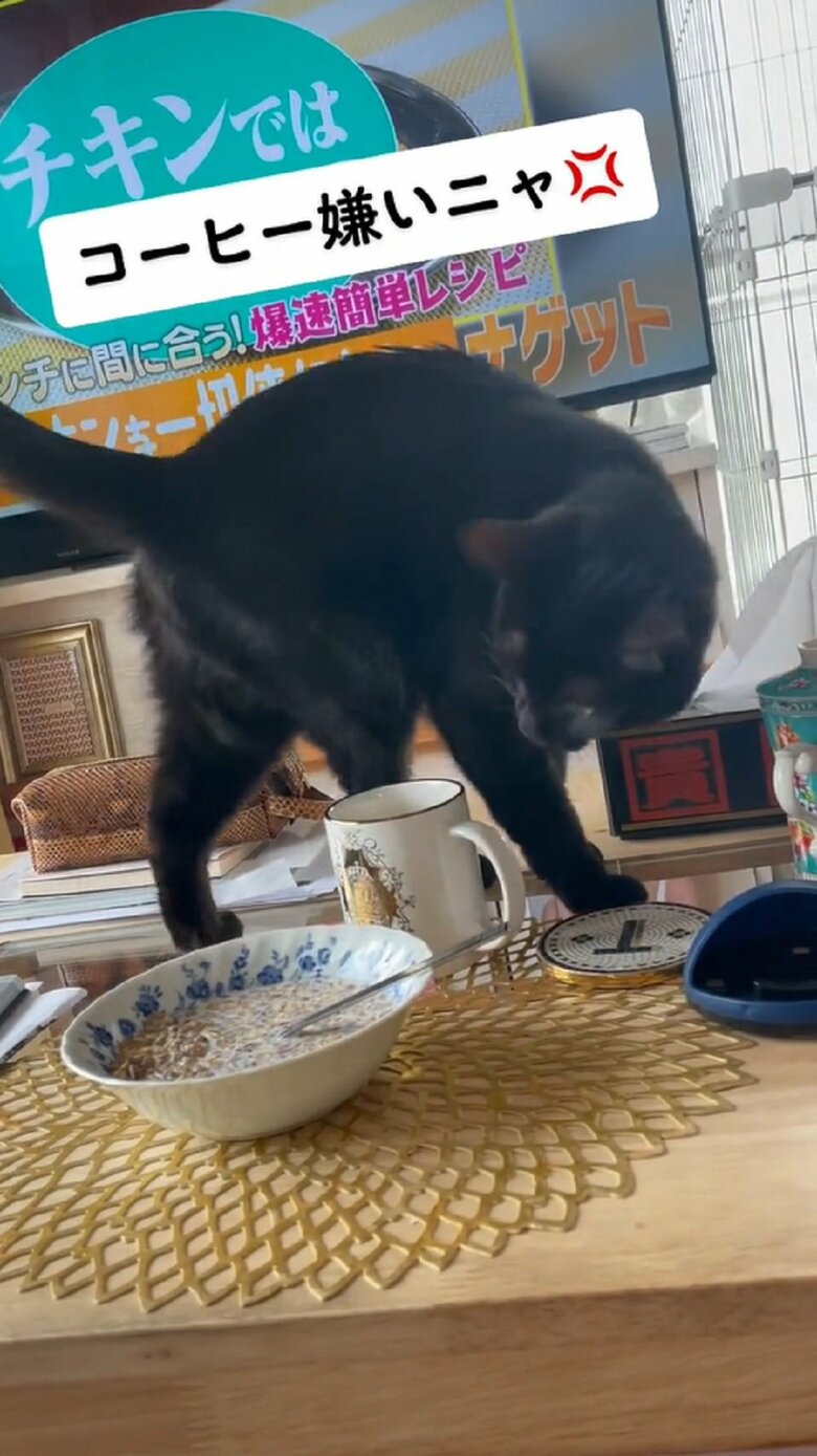 よし、いいかな？