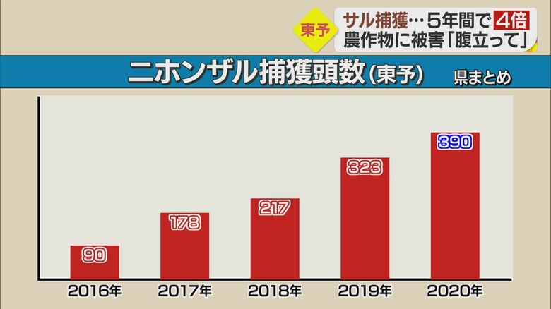 愛媛県がまとめたニホンザルの捕獲頭数（東予）