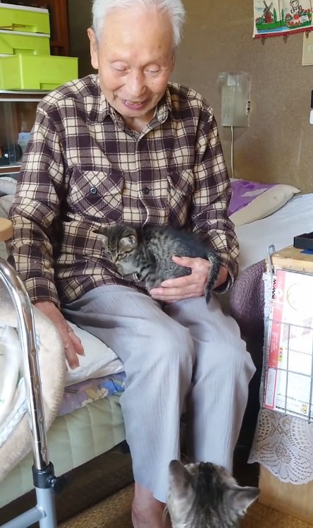 おじいちゃんがだっこしているのは玄関で保護したという猫ちゃん。足元の大五郎くんも興味津々