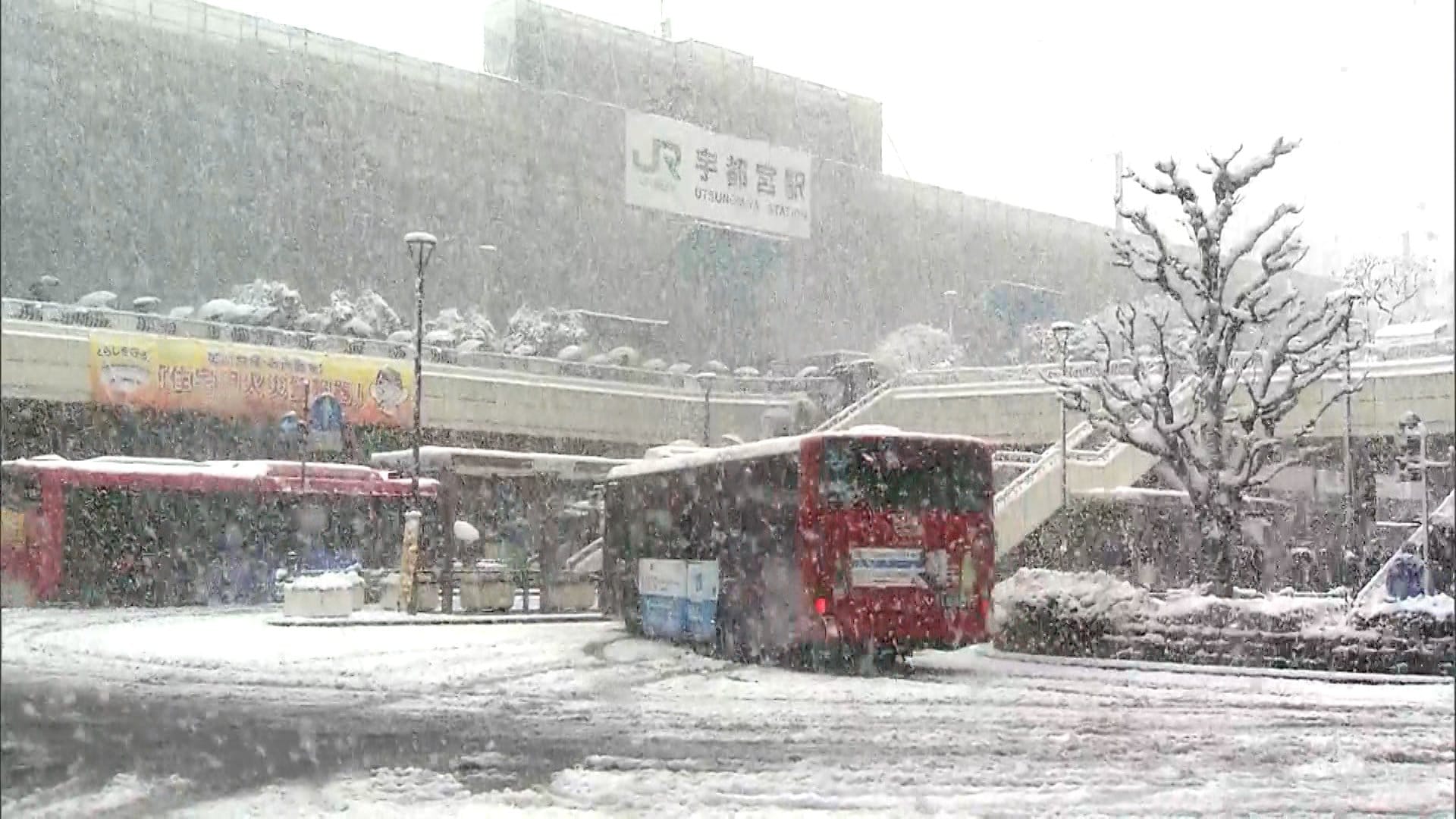 真冬並みの寒さに逆戻り　都心でも雪…23区に積雪の恐れ　栃木県に大雪警報　宇都宮市は3月に21年ぶり積雪12cm