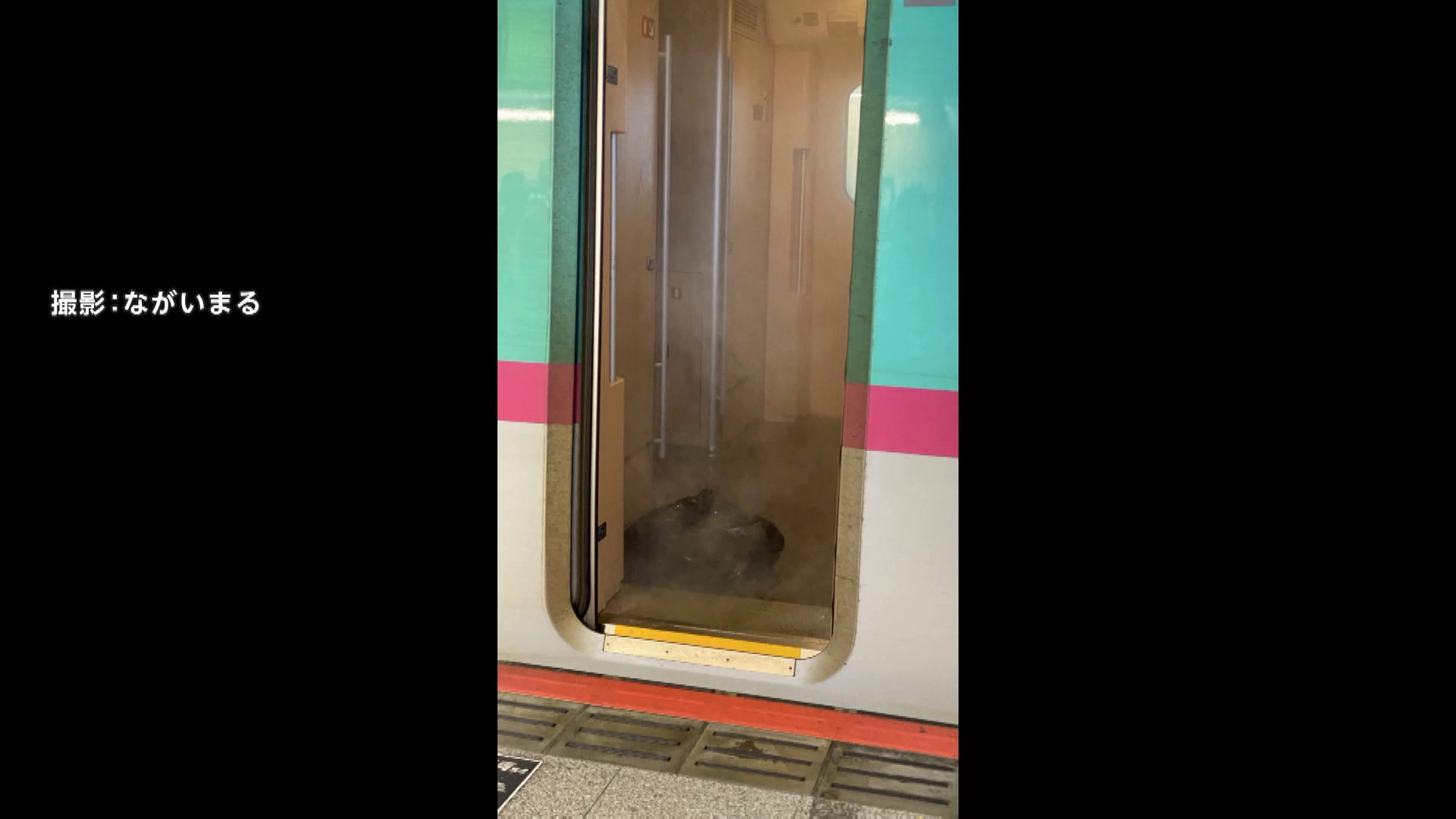 尻　JC　盗撮 東北新幹線で硫酸漏らし当時5歳の男の子ら乗客3人にケガを負わせた金属資源加工会社の社長ら略式起訴「鉱物を採取するため薬品を持ち運んでいた」（FNNプライムオンライン）｜ｄメニューニュース（NTTドコモ）