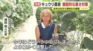 キュウリ農家　徹底的な暑さ対策　去年は木が4割枯れる被害　今夏も40℃超の酷暑　生産者「データ元に水や肥料を調整」　ていねいな作業が実りを支える