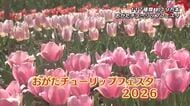 春恒例「おがたチューリップフェスタ」始まる　117種類約19万本の色とりどりの花が広がる　大分