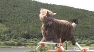 河川敷はクマの移動経路…作業員を被害から守る対策講習会を実施　オオカミ型撃退装置も紹介〈宮城〉