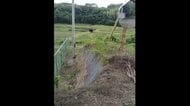 いわき市南部でクマの姿を初めて確認　箱わな設置で注意呼びかける＜福島県・いわき市＞