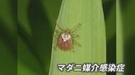 「ちょっと変やな」から診断まで1週間　マダニ媒介感染症に注意　致死率10～30％のSFTSが全国的に増加傾向