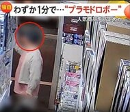 犯行わずか“1分”で…客がいなくなった瞬間に“プラモドロボー”　「結構怒り」人気商品ばかり2点を品定め　東京・千代田区