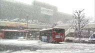 真冬並みの寒さに逆戻り　都心でも雪…23区に積雪の恐れ　栃木県に大雪警報　宇都宮市は3月に21年ぶり積雪12cm
