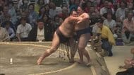 朝乃山、7連勝で勝ち越し決める　藤青雲を寄り切って8勝目【大相撲名古屋場所 10日目結果】