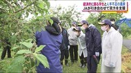 「アルバイトが無くなった学生」×「人手不足の農家」をマッチング!JAふくしま未来が懸け橋に〈福島県〉