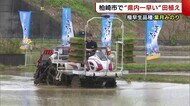 県内一早く! 柏崎市で極早生品種の“田植え”始まる 8月半ばに収穫予定【新潟】