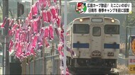 広島カープ歓迎 日南市にミニこいのぼり設置 宮崎県